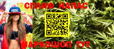 гашик Малгобек