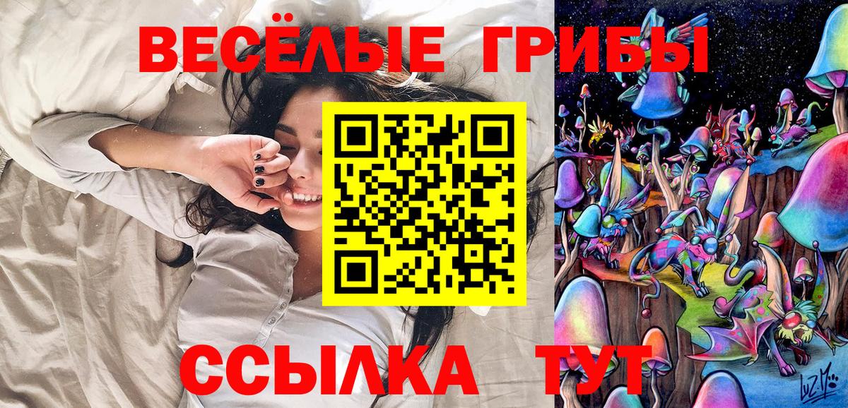 Галлюциногенные грибы прущие грибы  Вход с VPN  Городец 